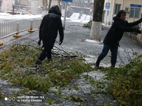 d3aad73be62b78b51837041545173e9