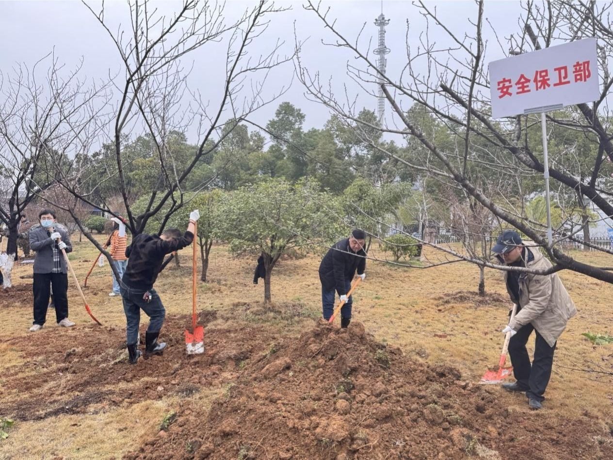 微信图片_20250312112216