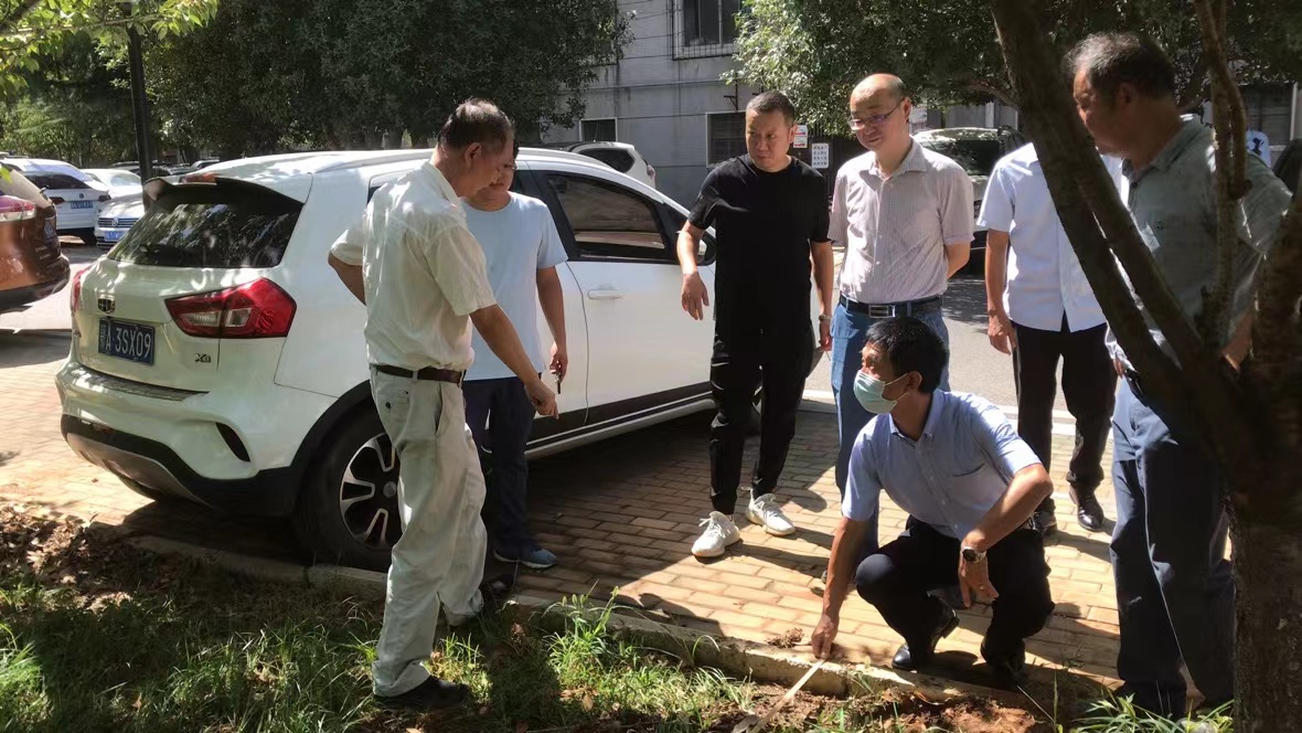 cbf1e32b199aa629a9b48fdeae30fe9